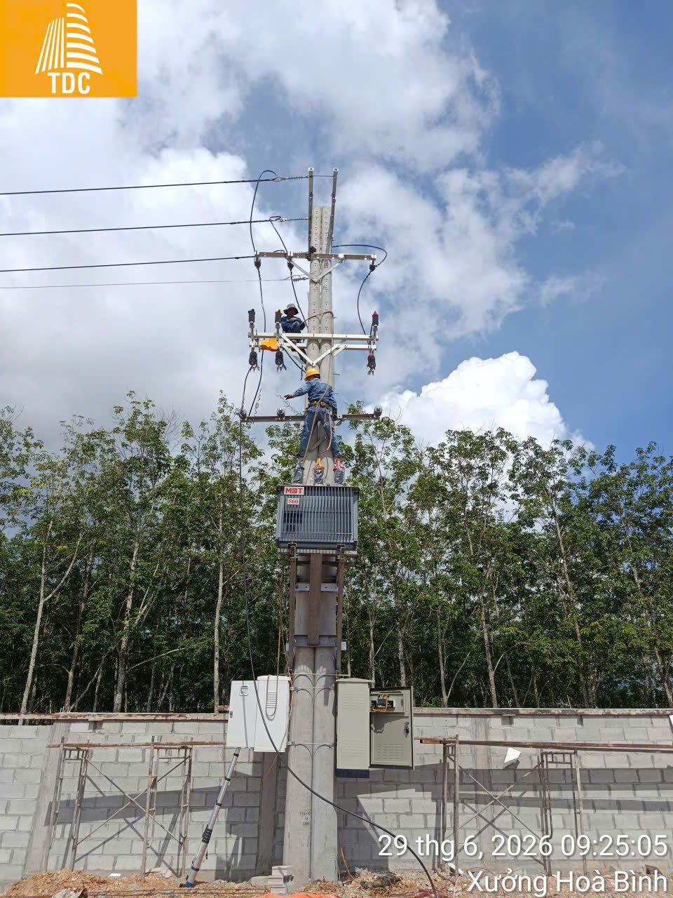Wood chip factory, HCM city — photo 1