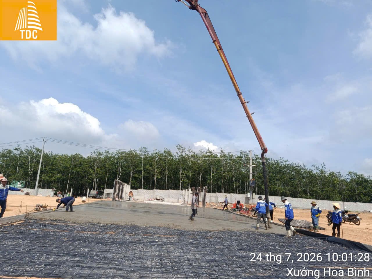 Wood chip factory, HCM city — photo 5